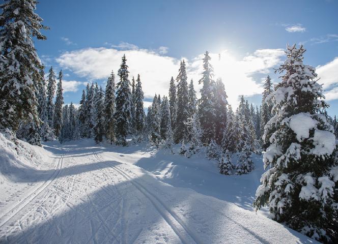 Paysage enneigé du Jura - Bois d'Amont