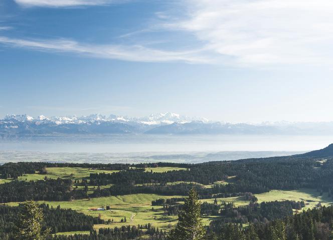 Les Alpes depuis la dent De Vaulion, à 30km de Bois d’Amont