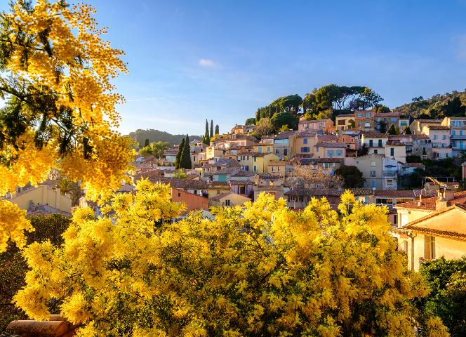 Bormes-les-Mimosas