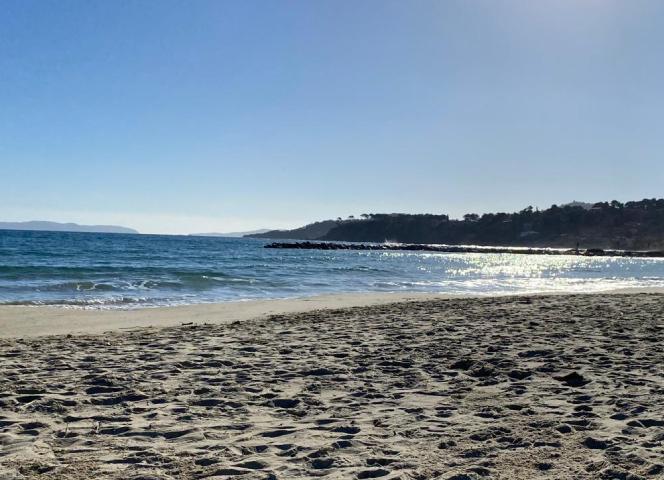 Plage la Faviere
