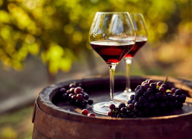 Dégustation de vins