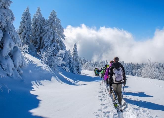 Séjours hiver groupes