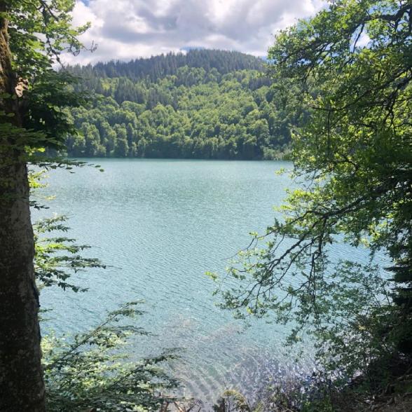 chasse au trésor sancy france
