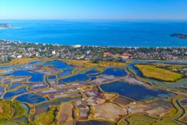 Mesquer-Pays de Guérande que faire ?