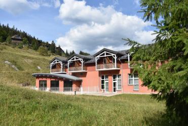 Bois d'Amont