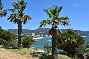 Bormes-les-Mimosas - Lavandou