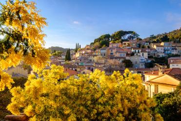 Bormes-les-Mimosas - 