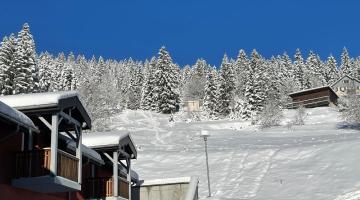 Résidence Bois d'Amont hiver