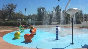 Aquatoon