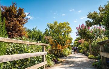 Promenade fleurie de Mimizan Plage