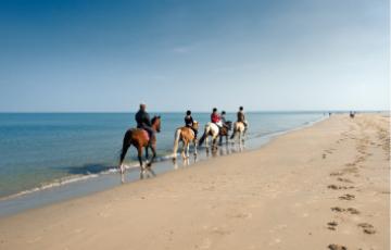 cheval plage mesquer