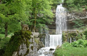 Cascade Herisson