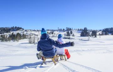 Luge