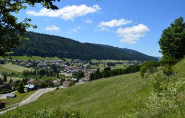 Bois d'Amont