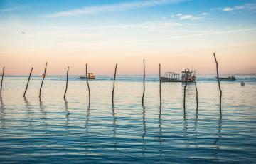 Cap Ferret