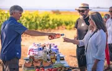 Dégustation de vins