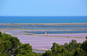 Salins Gruissan