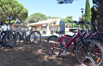 Gruissan - vélo