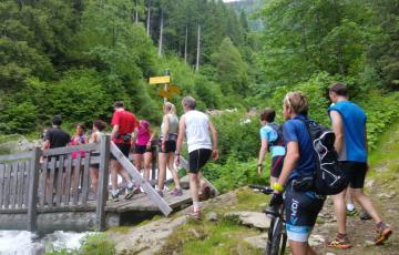Trail