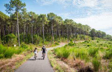 Cyclotourisme à Mimizan