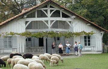 Mimizan Plage - Ecomusée de Marqueze