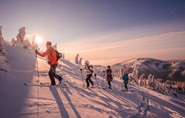 Ski de randonnée