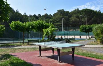 Terrains de sport