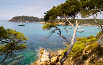 Bormes-les-Mimosas - visite