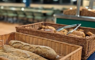 restauration cévéo luz