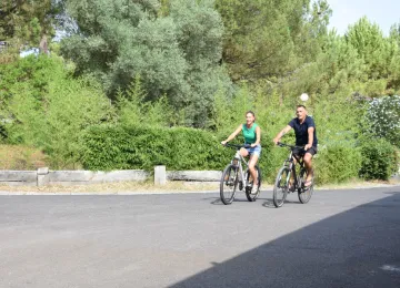 Location de vélo au village