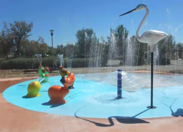 Aquatoon