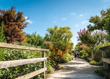 Promenade fleurie de Mimizan Plage