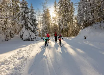 Activité Résidence Bois d'Amont