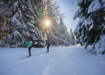 Ski Résidence Bois d'Amont