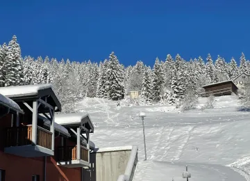 Résidence Bois d'Amont hiver