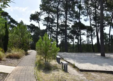 Terrain de pétanque