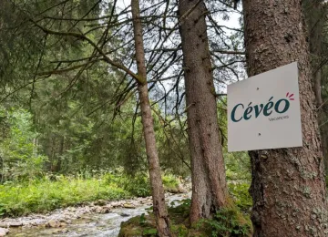 Ceveo