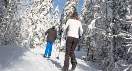 Bois d'Amont ski de fond 2