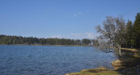 Lac de Servière - Auvergne