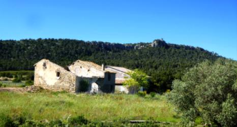 Balade autour de Gruissan