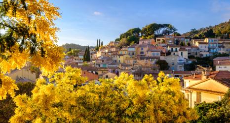 Bormes-les-Mimosas - 