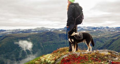Faire une rando avec son chien