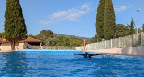 Esteban Bringer - piscine Cévéo Bormes